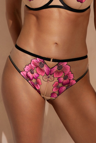 KONTRAKTACJA - Figi Pełne Desert Bloom