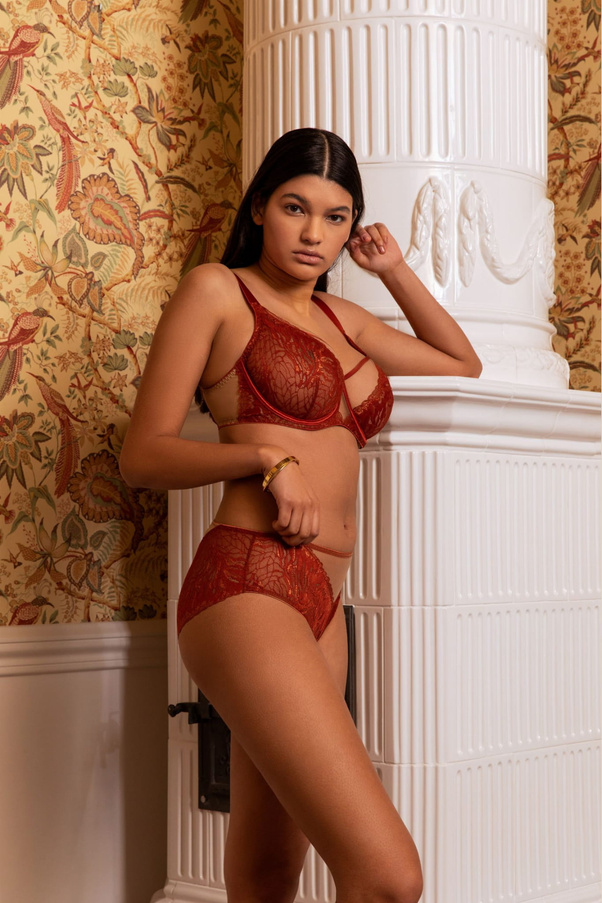 Koronkowe Figi Firebird